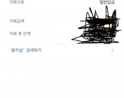 아이폰17프로맥스1테라  이용후기