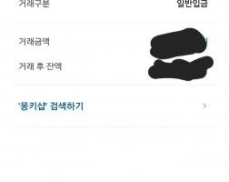 아이폰17 프로맥스 후기입니다