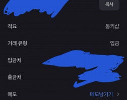 아이폰 17프로맥스 후기