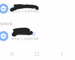 폰테크 아이폰16  프로맥스 512후기