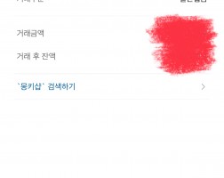 폰테크 아이폰17 256기가 후기