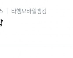 아이폰 16 프로맥스 이용후기