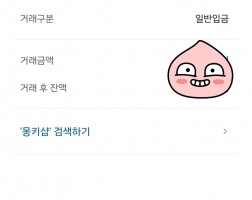 폰테크 아이폰 프로17후기