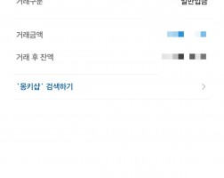 아이폰 17프로맥스