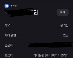 아이폰 17promax 이용후기